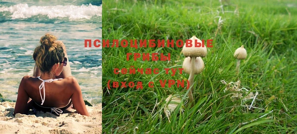 дурь Аркадак