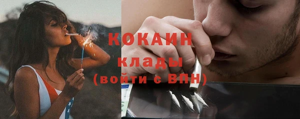 твердый Арсеньев
