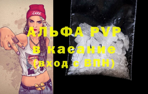 твердый Арсеньев