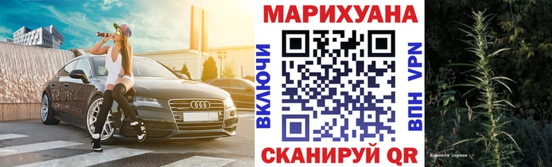 Каннабис индика  Сосновоборск 